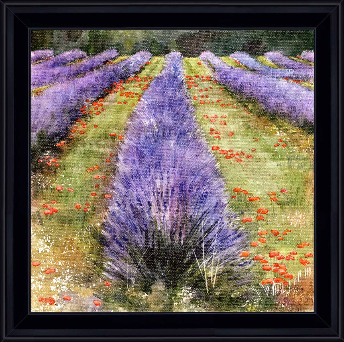 Coquelicots parfumés